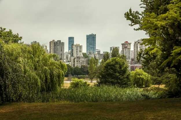 Сравнение экосистем городских лесов и природных лесов