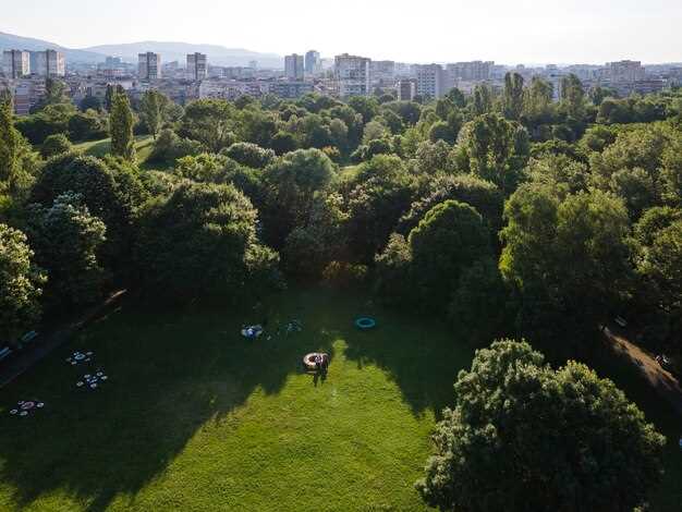 Методы сохранения и восстановления городских лесов в условиях урбанизации