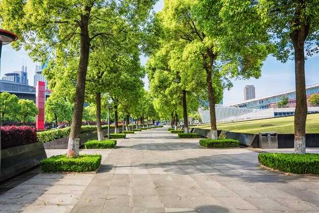 Как сделать городской парк привлекательным для жителей