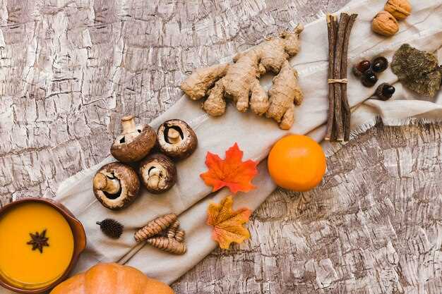 Целебные свойства и применение лекарственных грибов
