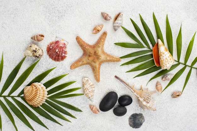 Животные иглокожие: фото и особенности родственников морских звезд