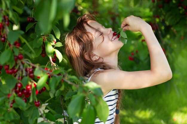 Режим дня и его роль в укреплении иммунитета