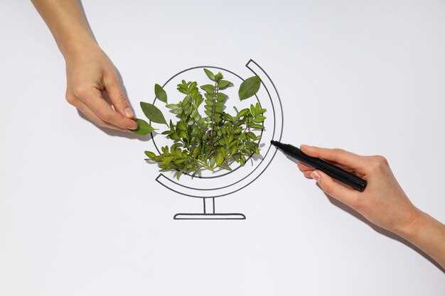 Инвестиционная политика и климатические изменения