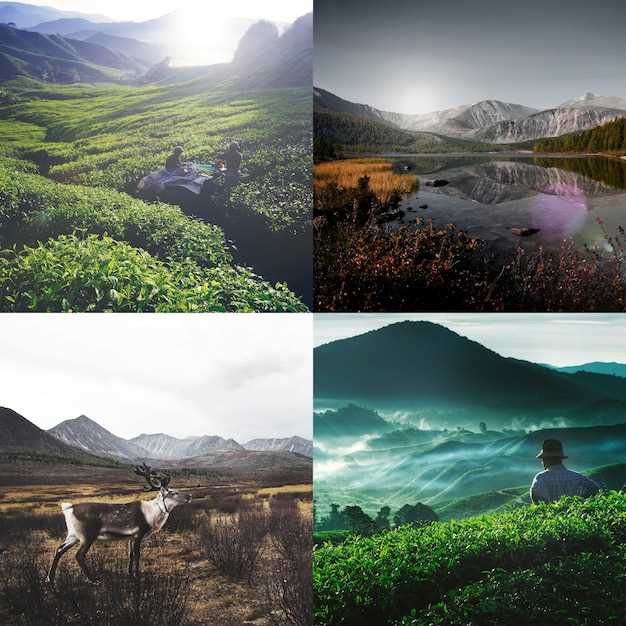 Лучшие градиентные фильтры и секреты их применения в фотографии