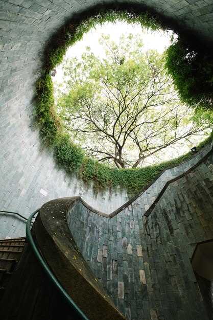 Как природные формы влияют на функциональность современных зданий?