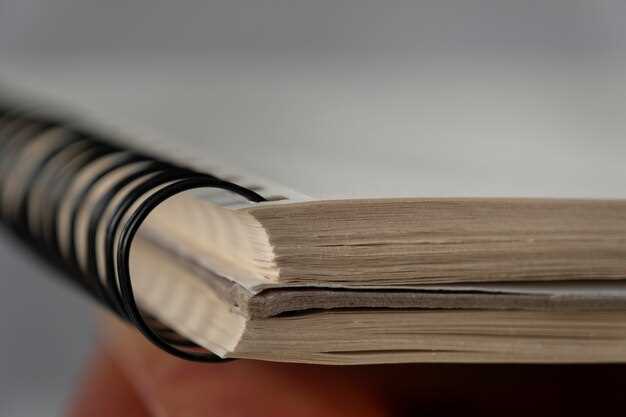 Стратегии и методы принятия решений для стартапов: ключевые аспекты успеха