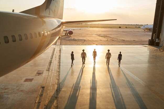 История и развитие национальных авиаперевозчиков