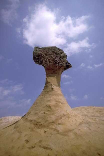 Появление и развитие соула: от gospel до платов