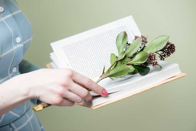 Как выбрать книги на итальянском для начального уровня