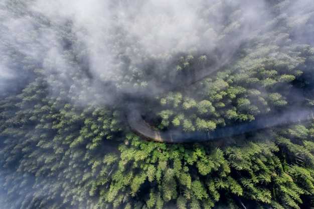 Экологические стратегии защиты природы от последствий изменения климата