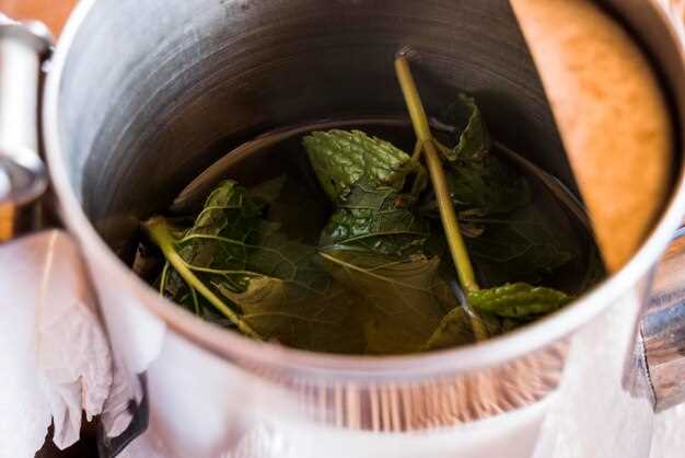 Советы по выбору и употреблению мате