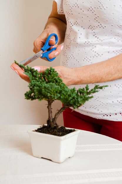 Методы обрезки для формирования кроны фикуса