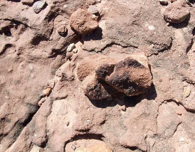 Геологические процессы, формирующие экваториальные горы Марса