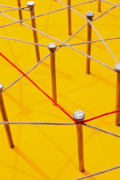 Как наладить связи для карьерного продвижения