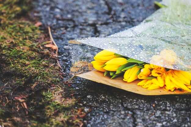 Укрытие рассады: материалы и методы