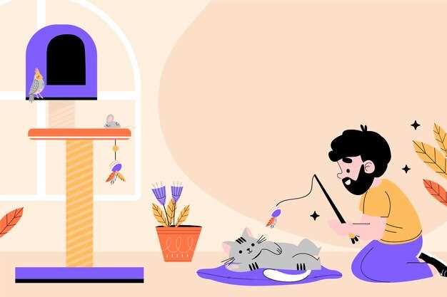 Профилактика царапин: выбираем альтернативы для царапания