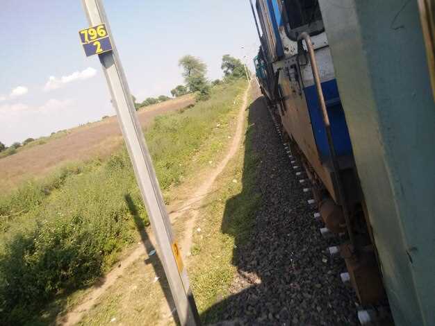 Специфика грузовых вагонов и новые технологии в железнодорожных перевозках