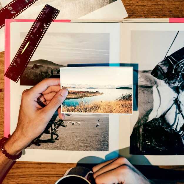 Выбор и отбор фотографий для выставки