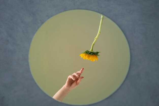 Выбор лучших объективов для макрофотографии