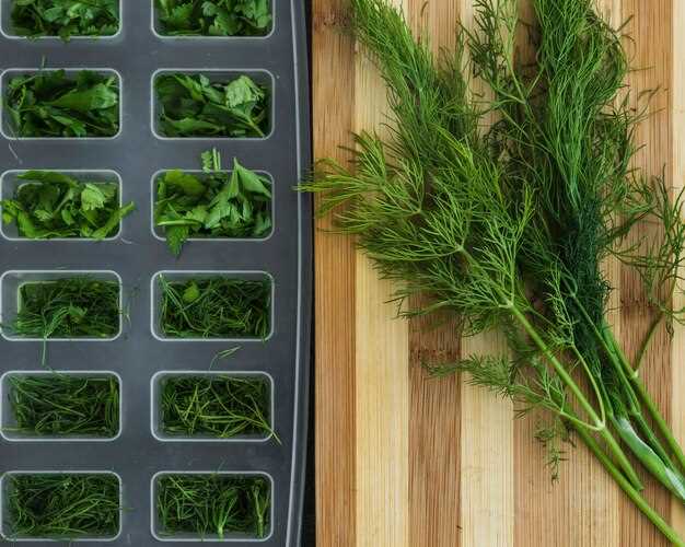 Как правильно собирать зелень для максимального аромата и вкуса