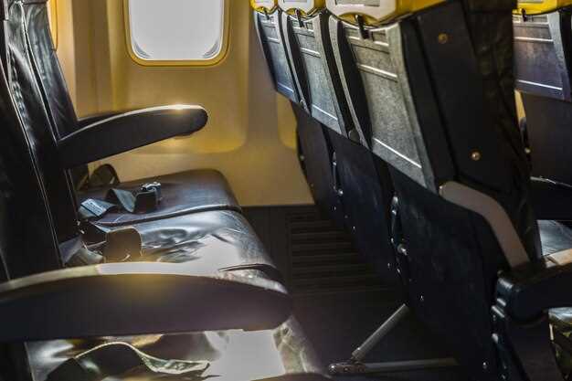 Типы и характеристики грузовых самолетов для бизнеса и их применение