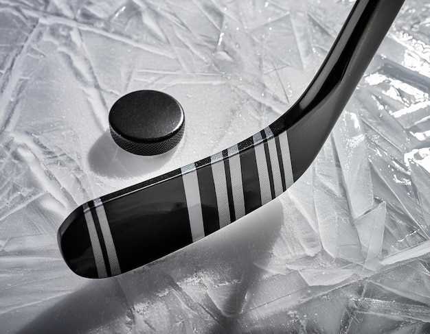 Хоккейные щитки