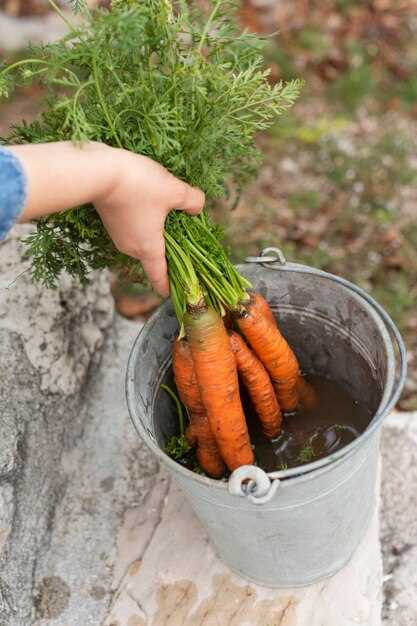 Подбор семян и их подготовка к посадке
