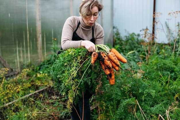 Уход за спаржей: полив, удобрение и борьба с вредителями