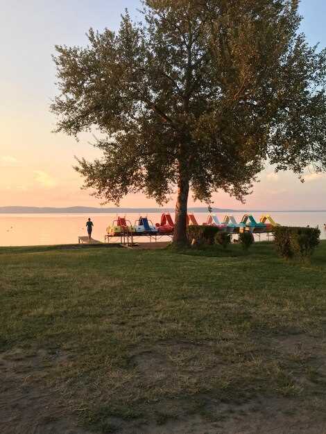 Полезные советы для комфортного кемпинга с детьми во Франции