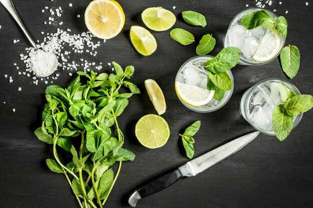 Классический мохито: пошаговый рецепт