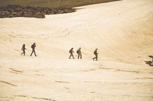 Традиции и культура пустынных народов