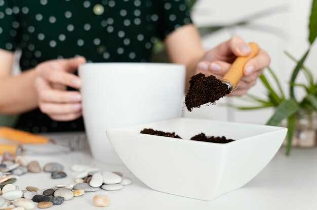 Пошаговая инструкция по приготовлению кофейного скраба