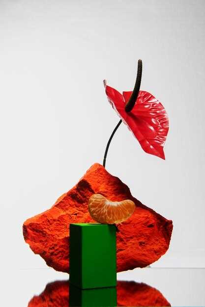 Анализ известных фэшн-фотографий: что делает их успешными?