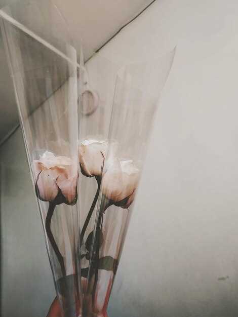 Технические аспекты композиции: настройки камеры и освещение