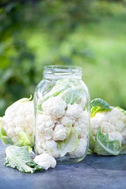 Выбор свежей капусты для консервирования