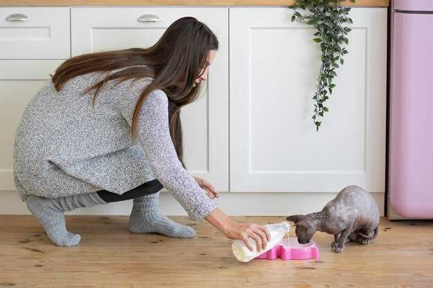 Причины странностей в кошачьем поведении