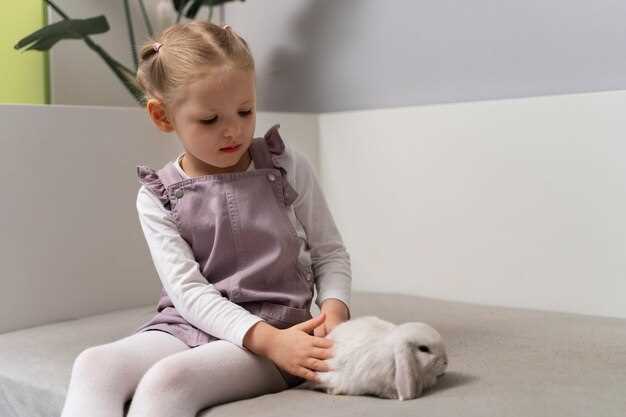 Основные правила ухода и питания котят в первые месяцы жизни