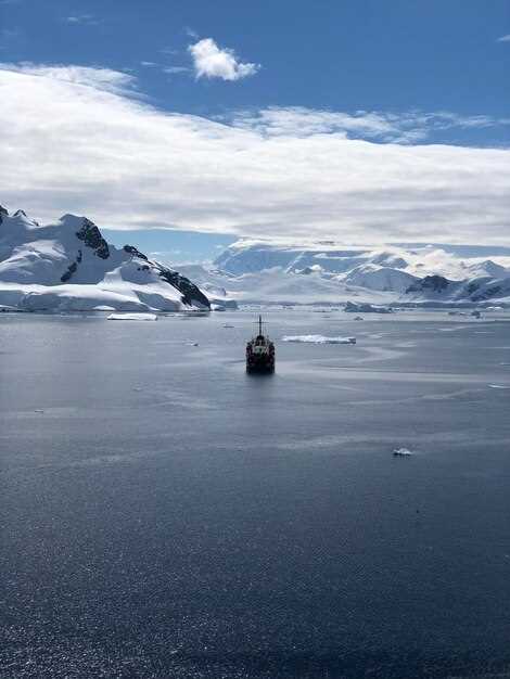 Активный отдых: что можно попробовать во время путешествия по Антарктиде?