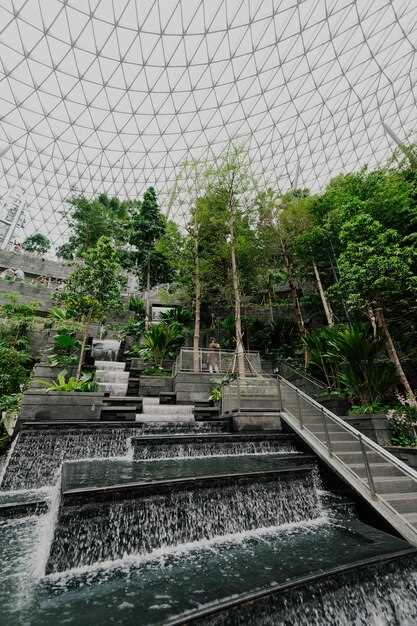 Как зеленые пространства способствуют сохранению экосистем