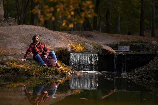 Лесные экосистемы: климат и водные балансы