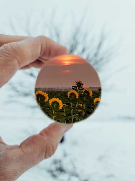 Топ-10 фотоконкурсов 2025 года с призами для amateurs