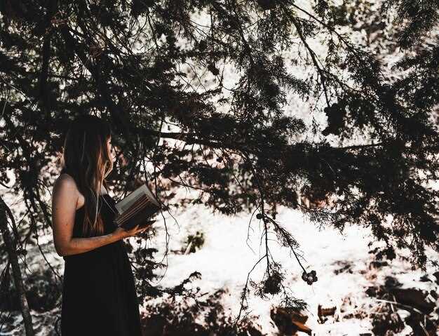 Рейтинг самых полезных книг для начинающих пейзажистов