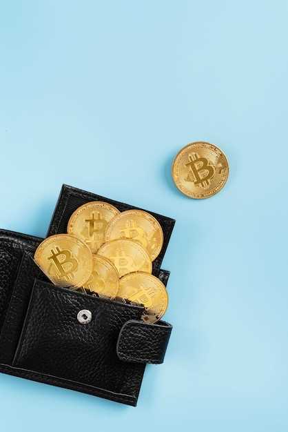 Сравнение кошельков для биткоинов: плюсы и минусы