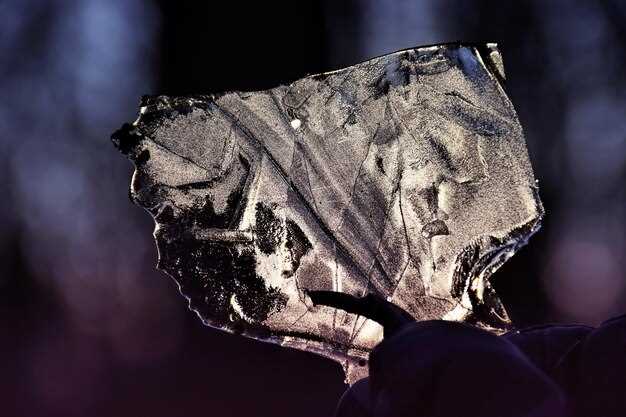 Топ видеолекций и образовательных платформ по геологии