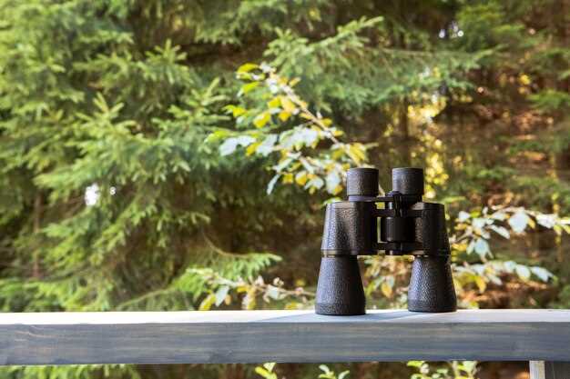 Топ-5 объективов для съемки звезд в 2023 году