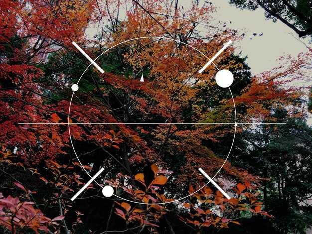 Оптимальные фокусные расстояния для ландшафтной фотографии