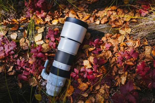 Сравнение призматических и асферических объективов для пейзажей