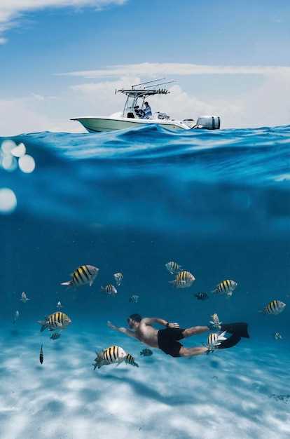 Топ океанов для дайвинга и их уникальные условия