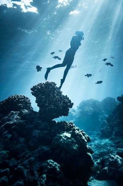 Разнообразие морской жизни и достопримечательности подводного мира