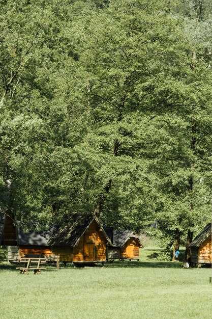 Уникальные природные зоны для кемпинга в горах